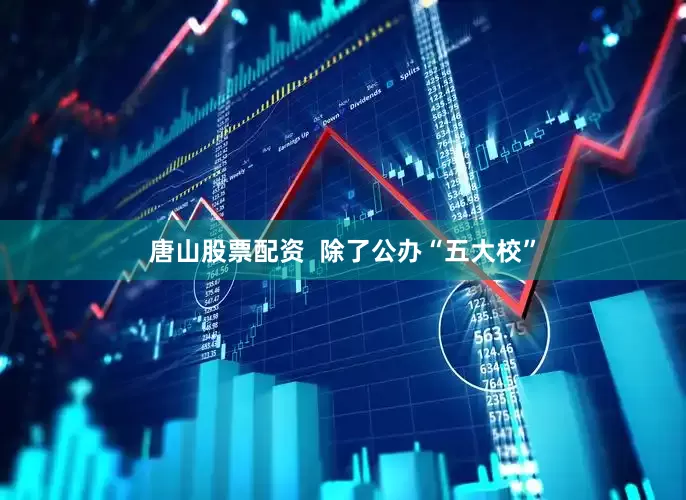 唐山股票配资  除了公办“五大校”